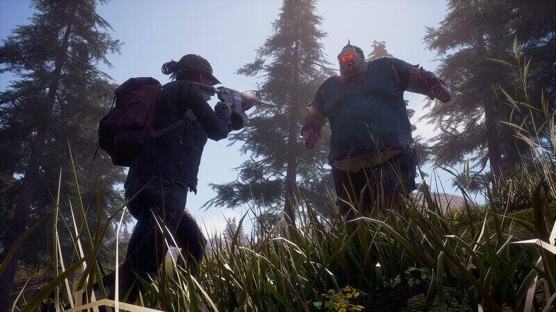 State of Decay 2 Kein Support mehr