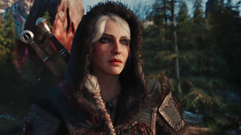 The Witcher 4