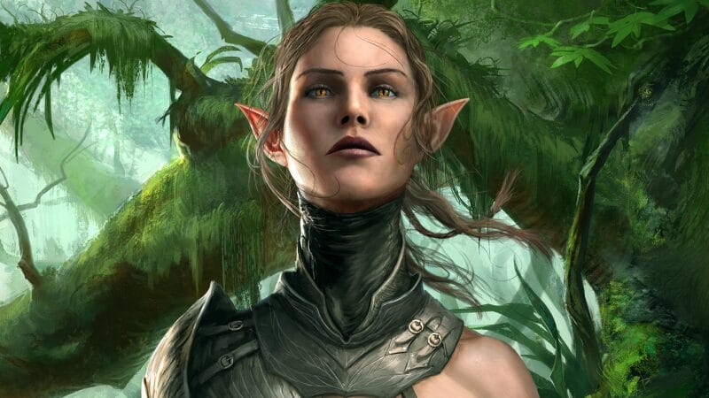 Dvinity Original Sin 2